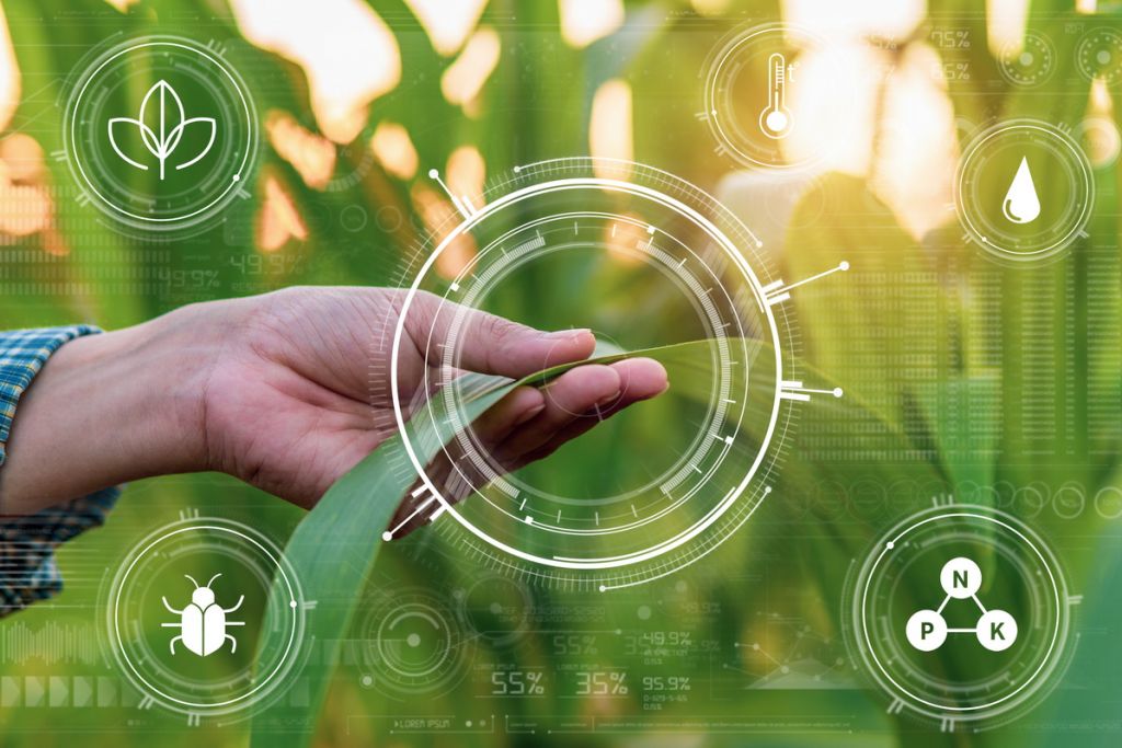 Smart Agro - Aqroanalitika Sistemi