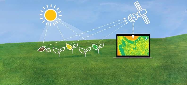 Smart Agro - Aqroanalitika Sistemi